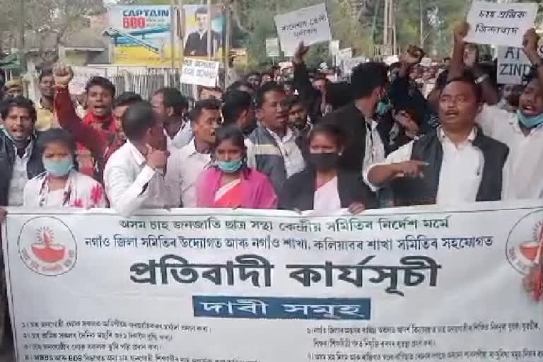 protest-of-tea-tribal-students-association-in-front-of-nagaon-district-deputy-commissioners-office