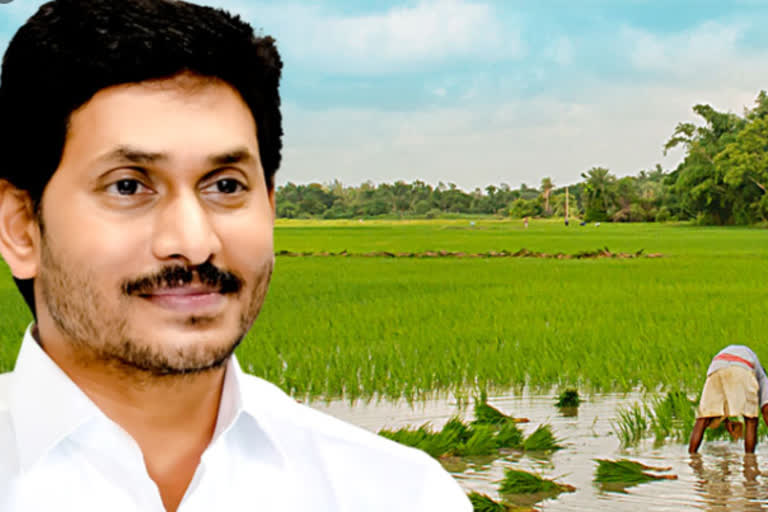 YSR Free Crop Insurance Scheme