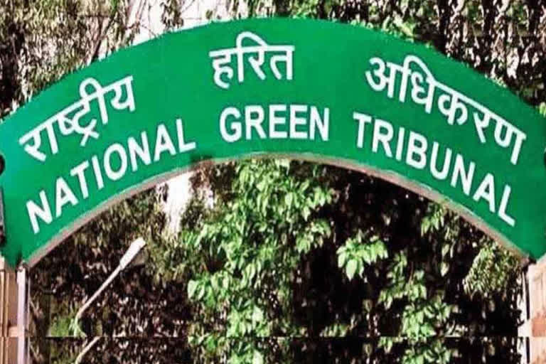 NGT reference to AP government on sand mining