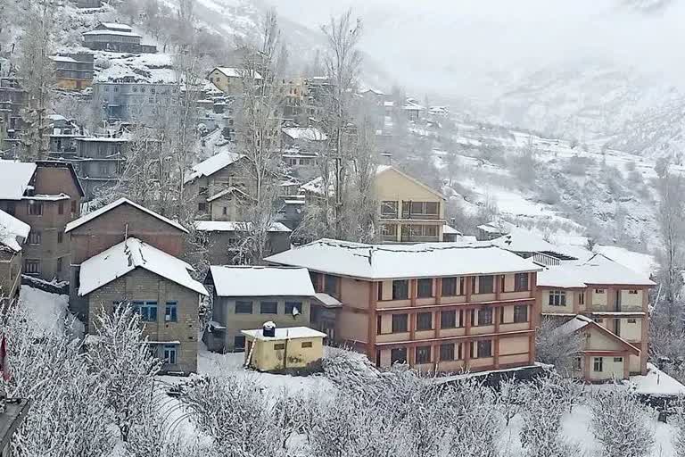 Cold wave prevails in himachal