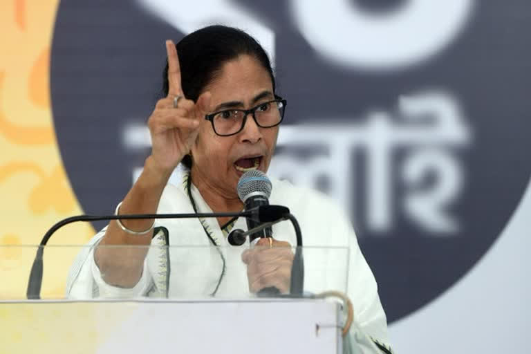 mamata