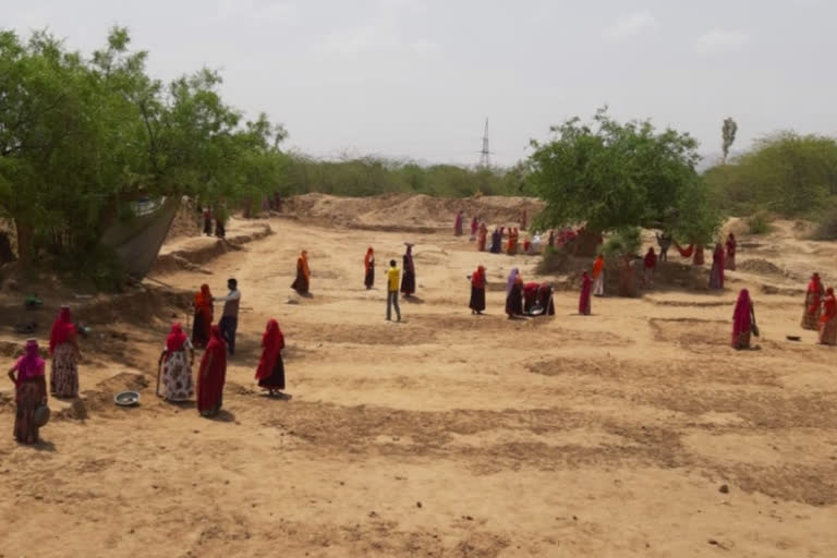 pura kam pura dam campaign in jalore, special campaign