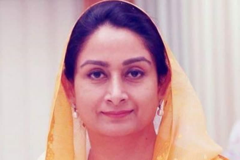 Former Union Minister Harsimrat Kaur Badal