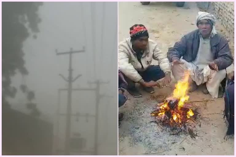 सीकर में शीतलहर, cold wave in sikar