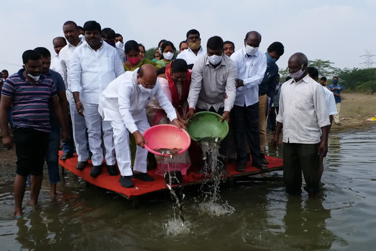 fish distribution by mla manchireddy kishan reddy at ibrahimpatnam in rangareddy district