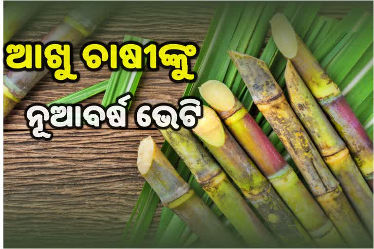 ଆଖୁ ଚାଷୀଙ୍କୁ ମୋଦି କ୍ୟାବିନେଟର ଉପହାର, ଚିନି ରପ୍ତାନୀ ଉପରେ ସବସିଡି ଦେବେ ସରକାର