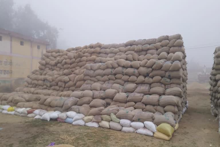 purchase-of-more-than-10-lakh-quintals-of-paddy-through-paddy-procurement-centers-in-dhamtari