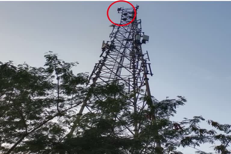 Drunked man jumps from mobile tower