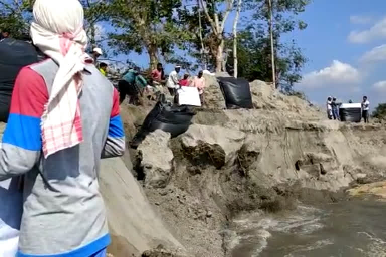 greater area of majuli salmara under erosion of the brahmaputra