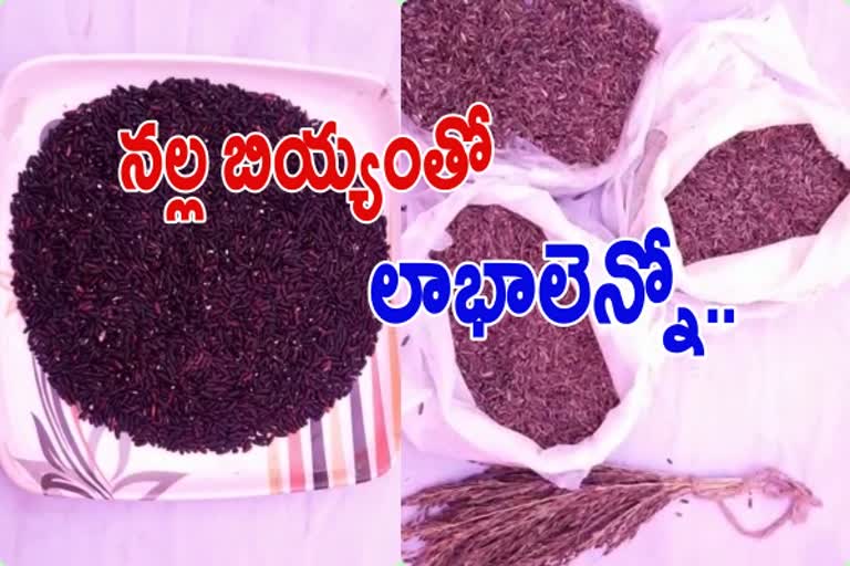 Black rice: Getting popular among farmers, consumers