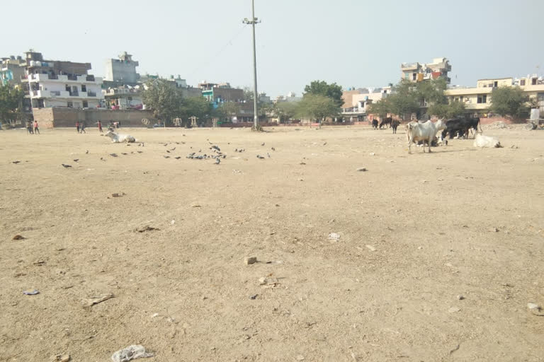 miserable condition of public park at vidya vihar colony in hastsal village in delhi