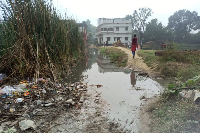 सासंद आदर्श ग्राम बरेजा की सड़कें नाले में तब्दील