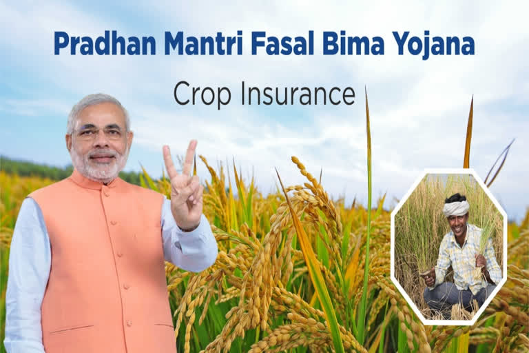 Making crop insurance insurance farmer friendly assessment of PMFBY PMFBY Pradhan Mantri Fasal Bima Yojana பயிர் காப்பீட்டு திட்டம் பயிர் காப்பீட்டு இந்தியாவின் பயிர் காப்பீட்டு திட்டம் பிரதான் மந்திரி ஃபசல் பீமா யோஜனா பயிர் காப்பீட்டு