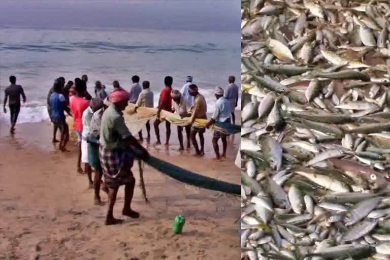 Kanyakumari fishermen