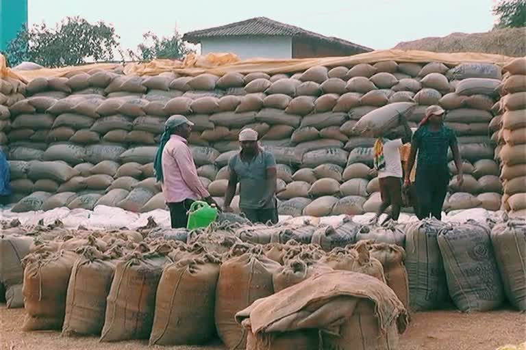 paddy purchase in balod