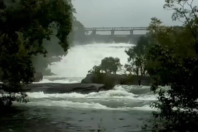 papanasam dam