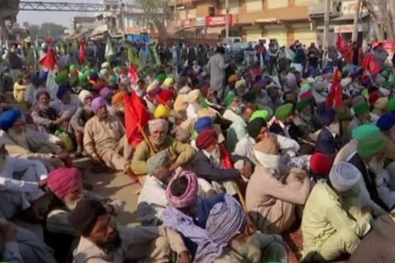 jhajjar farmers died tikri border