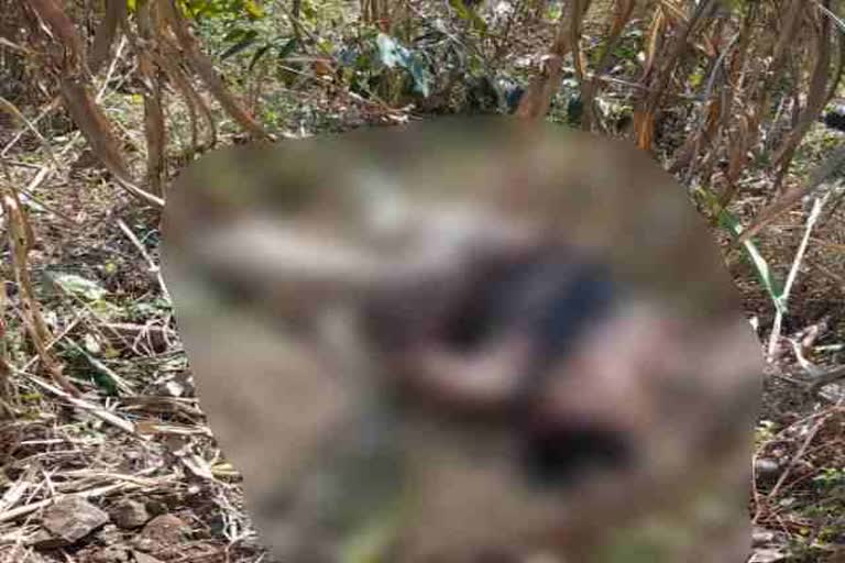 encounter-between-security-forces-and-naxalites-in-chaibasa