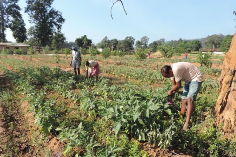 Farmers get financial benefit