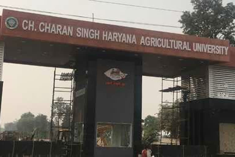 Haryana Agriculture University Hisar