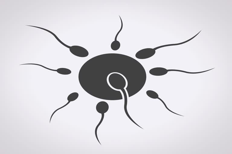 sperm allergy