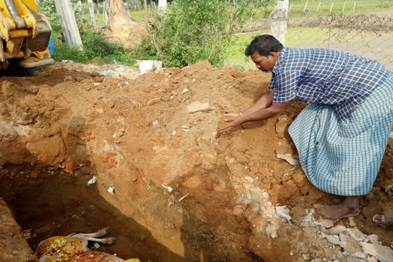 farmer family conducted the funeral for the bull