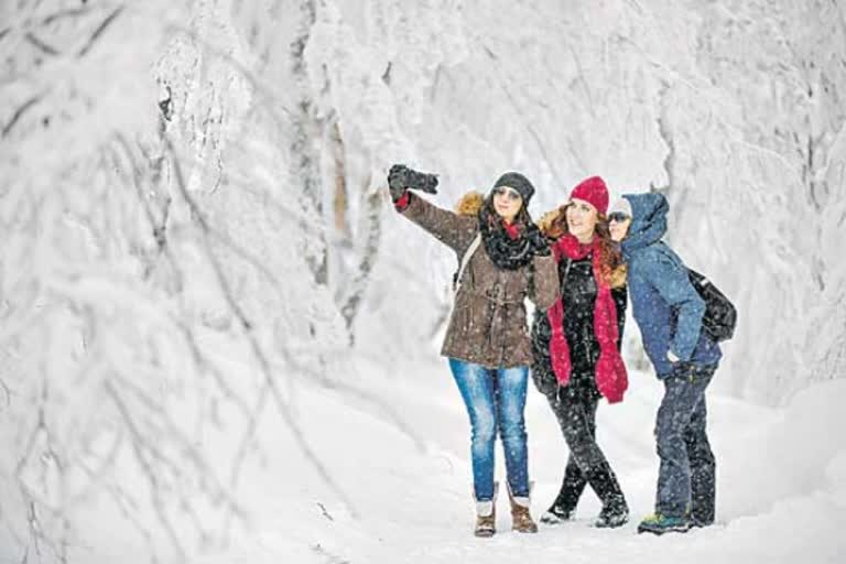 christmas-and-new-year- made- tourism- boost