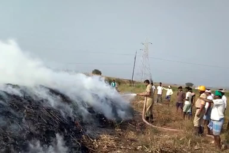 An accidental fire in a pile of maize in Haveri