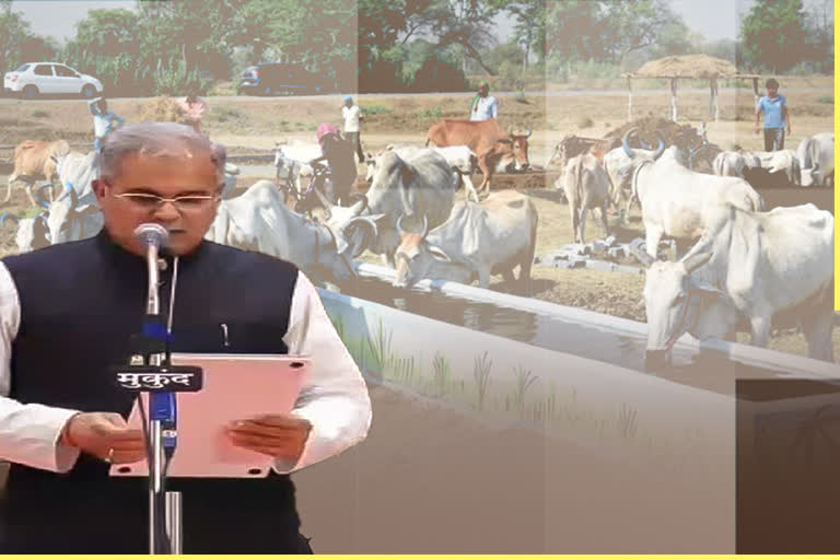 special-story-on-bhupesh-government-project-of-gadhbo nava chhattisgarh