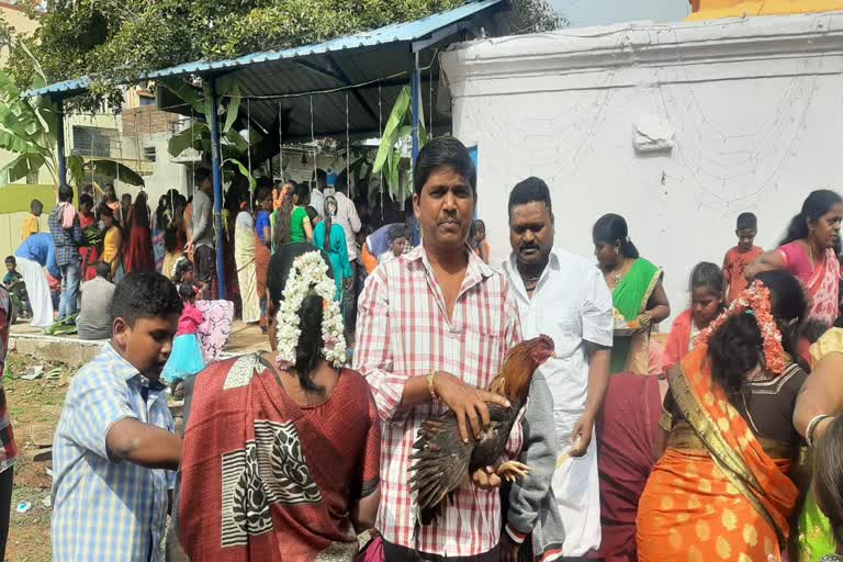 subramanya-shashti-celebration-in-chamarajanagara