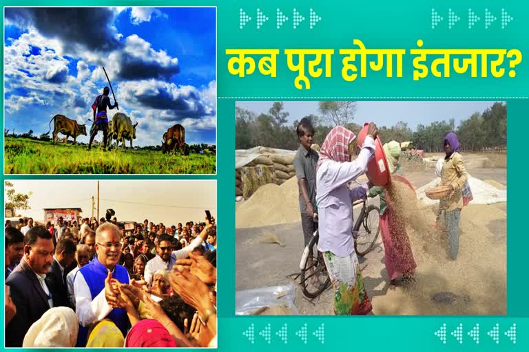 chhattisgarh paddy procurement