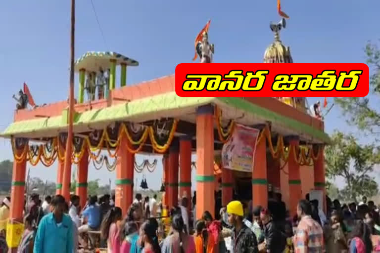 monkey festival celebrated in nirmal district