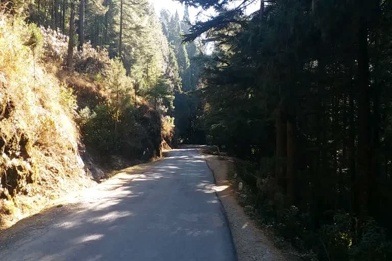 pauri