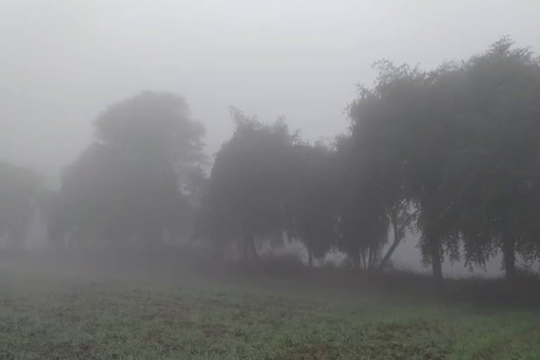 yellow-alert-in-few-areas-of-madhya-pradesh-for-cold-wave