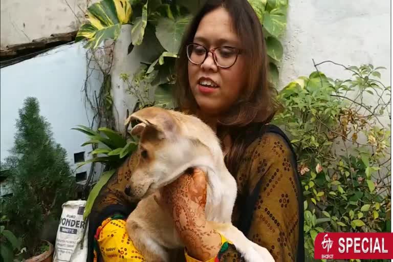 disha-is-helping-stray-dogs