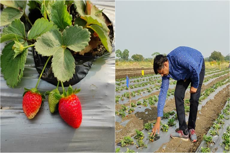 संपादित छायाचित्र