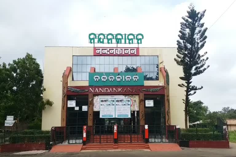 ନନ୍ଦନକାନନକୁ ଆସିଲେ 8 ନୂଆ ଅତିଥି