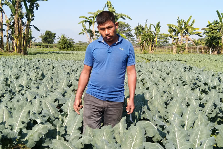 YOUTH FARMER FROM NOWBOICHA