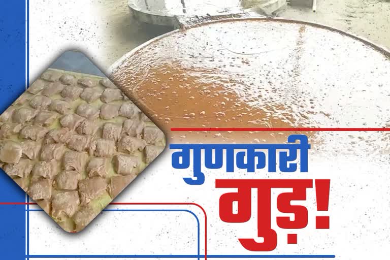 organic jaggery panipat