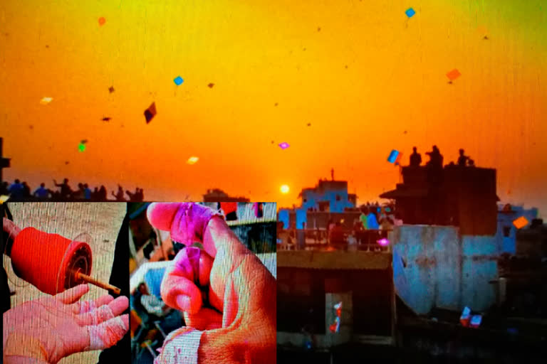 Rajasthan Makar Sankranti News,  Jaipur latest news