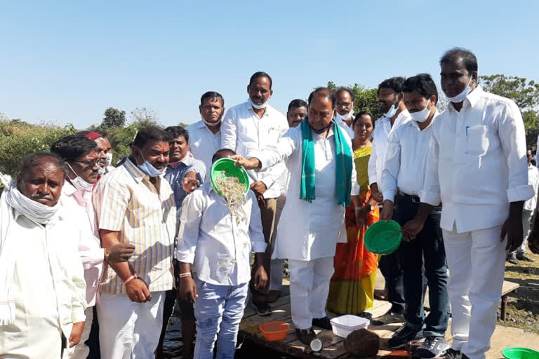 minister indrakaran reddy released shrimps in nirmal reservoirs