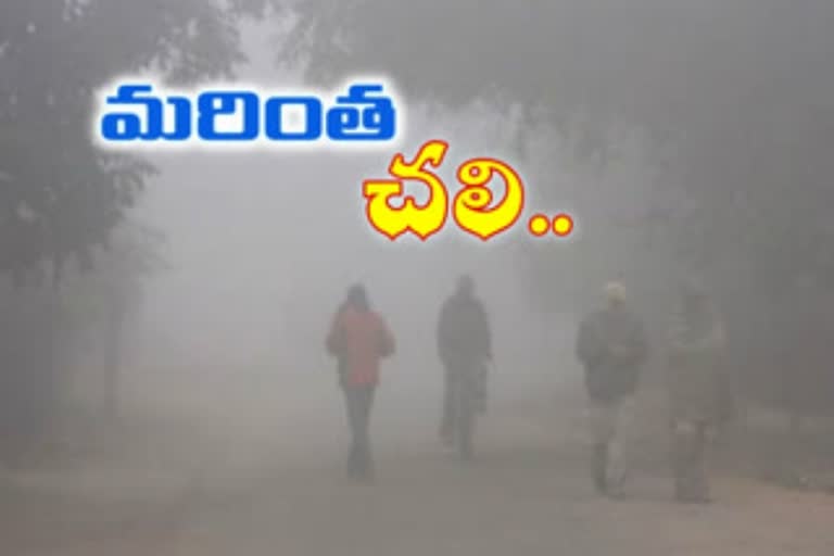 వణుకుతున్న రాష్ట్రం... పెరుగుతున్న చలి