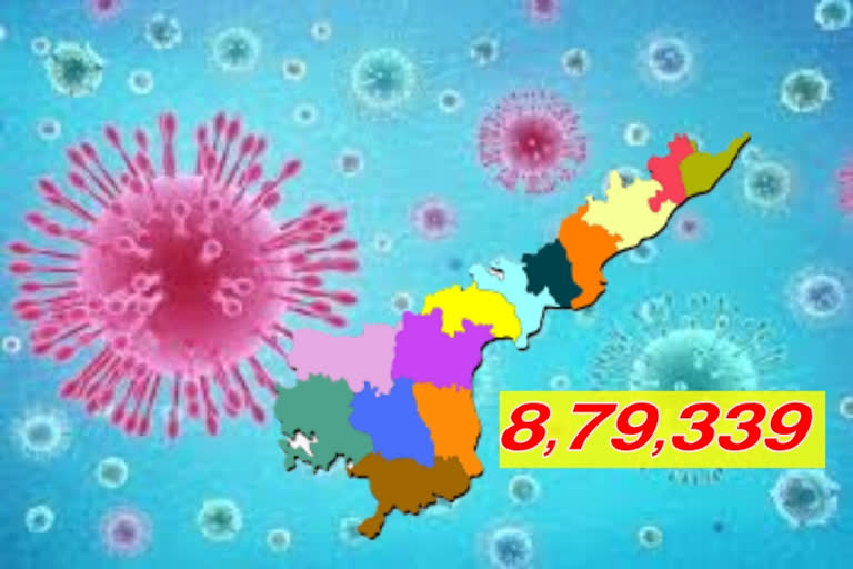 new 402 covid cases in ap