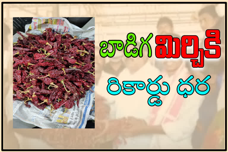 farmer feels happy for getting high price to badiga type of chilli in guntur mirchi yard