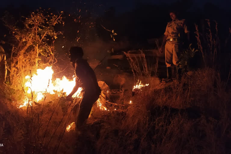 ಹರಪನಹಳ್ಳಿ ಕಾಯ್ದಿಟ್ಟ ಅರಣ್ಯ ಪ್ರದೇಶಕ್ಕೆ ಬೆಂಕಿ