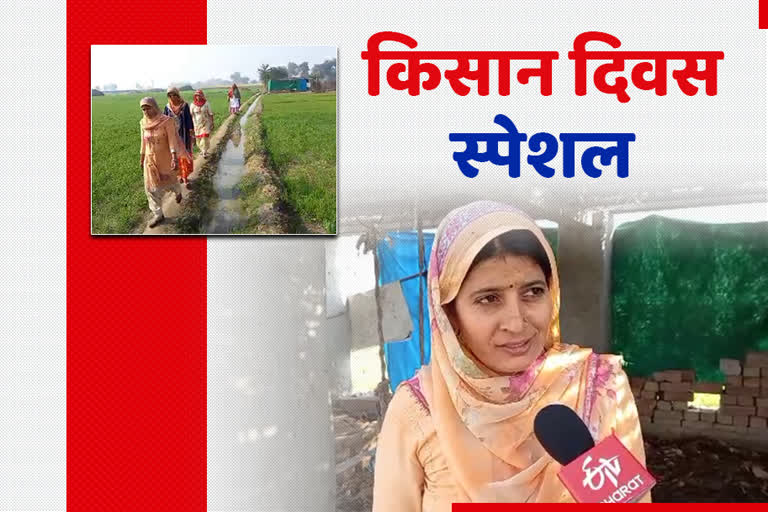 special story female farmer sirsa