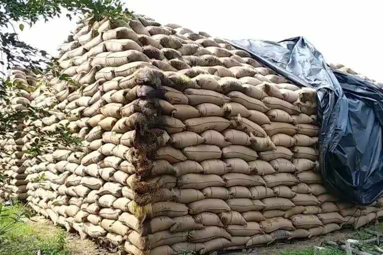 10 thousand tons of paddy bundles damaged without maintenance in Nagapattinam
