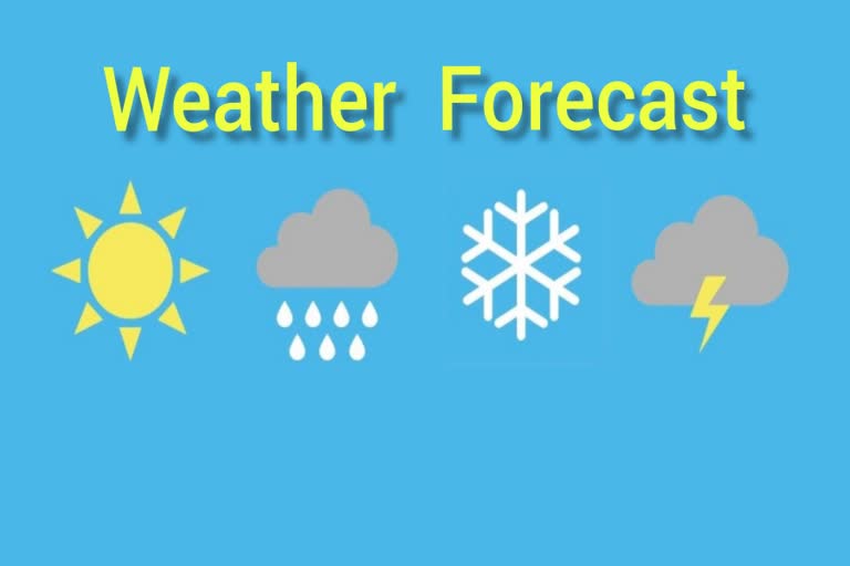 haryana weather report 24 december