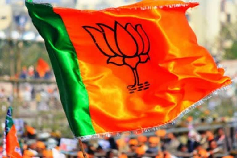 बिलासपुर नगर परिषद चुनाव: BJP ने जारी की पहली सूची