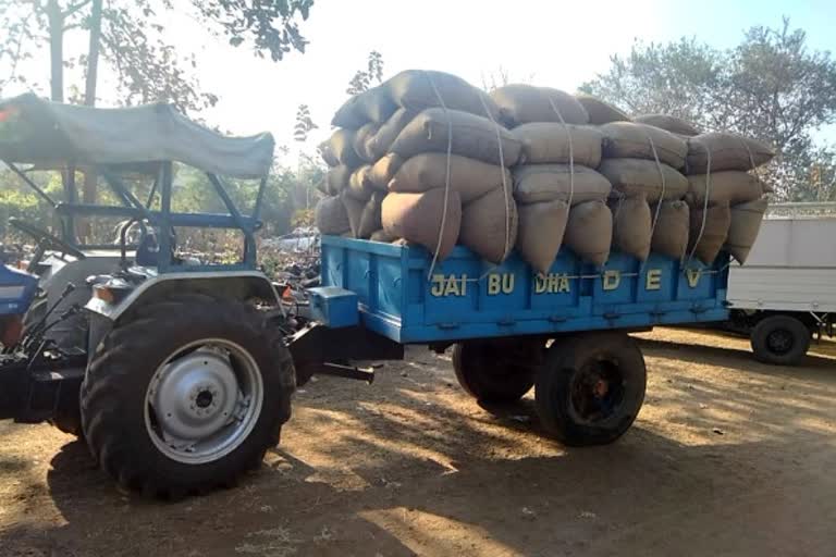 illegal paddy transport from Odisha